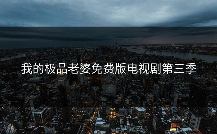 我的极品老婆免费版电视剧第三季