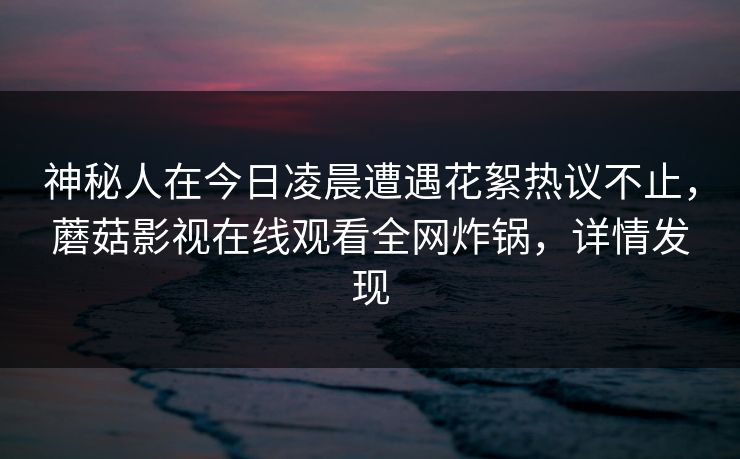 神秘人在今日凌晨遭遇花絮热议不止，蘑菇影视在线观看全网炸锅，详情发现